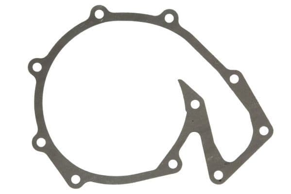 Water pump gasket