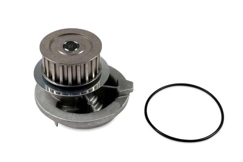 Waterpomp, met pakking past: OPEL ASTRA F, CALIBRA A, KADETT E, VECTRA A 2.0 12.87-01.98