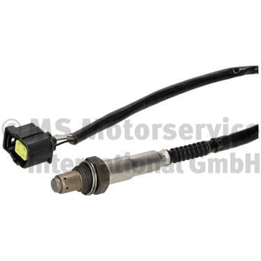 Oxygen Sensor