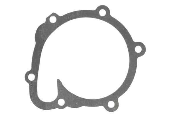 Water pump gasket