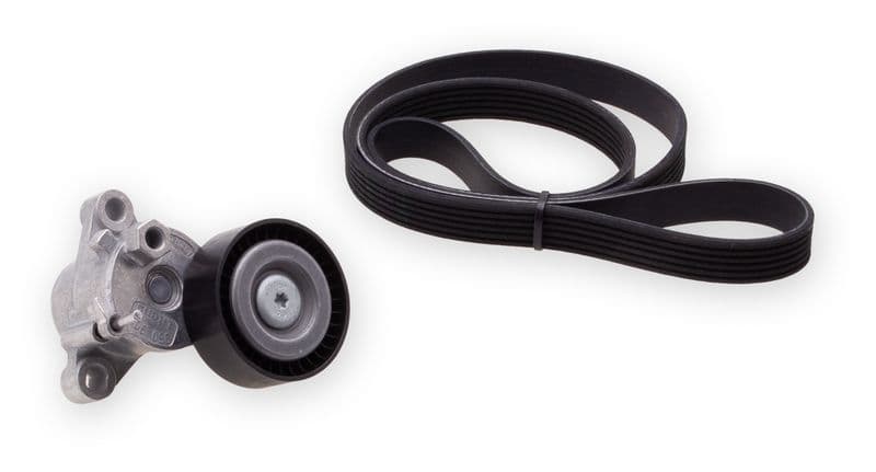 Multi-V-riem (6PK1250)