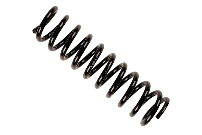 Coil spring