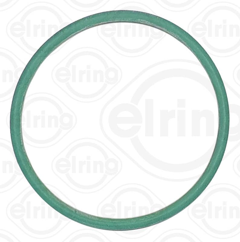 Seal Ring, pickup tube (oil pump)