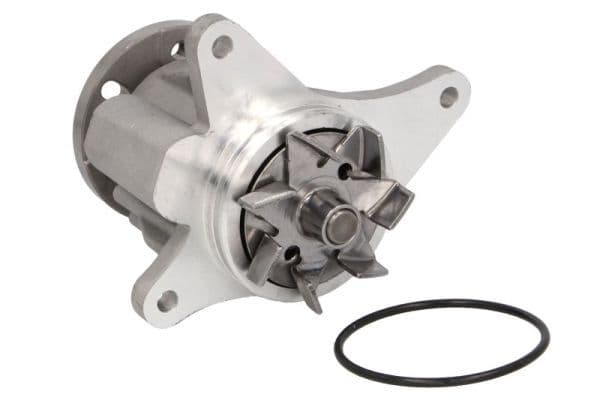 Waterpomp, met pakking past: JAGUAR S-TYPE II, XF I, XJ  LAND ROVER DISCOVERY III, DISCOVERY IV, RANGE ROVER SPORT I 2.7D 06.04-12.18