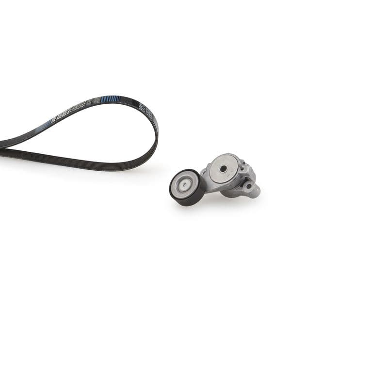 Multi-V-riem (5PK493)