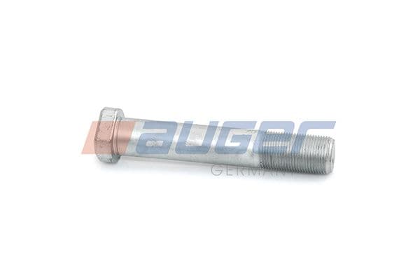 Wheel bolt