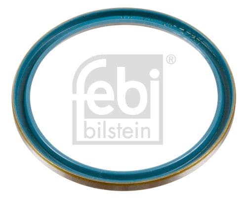 Seal Ring, steering knuckle