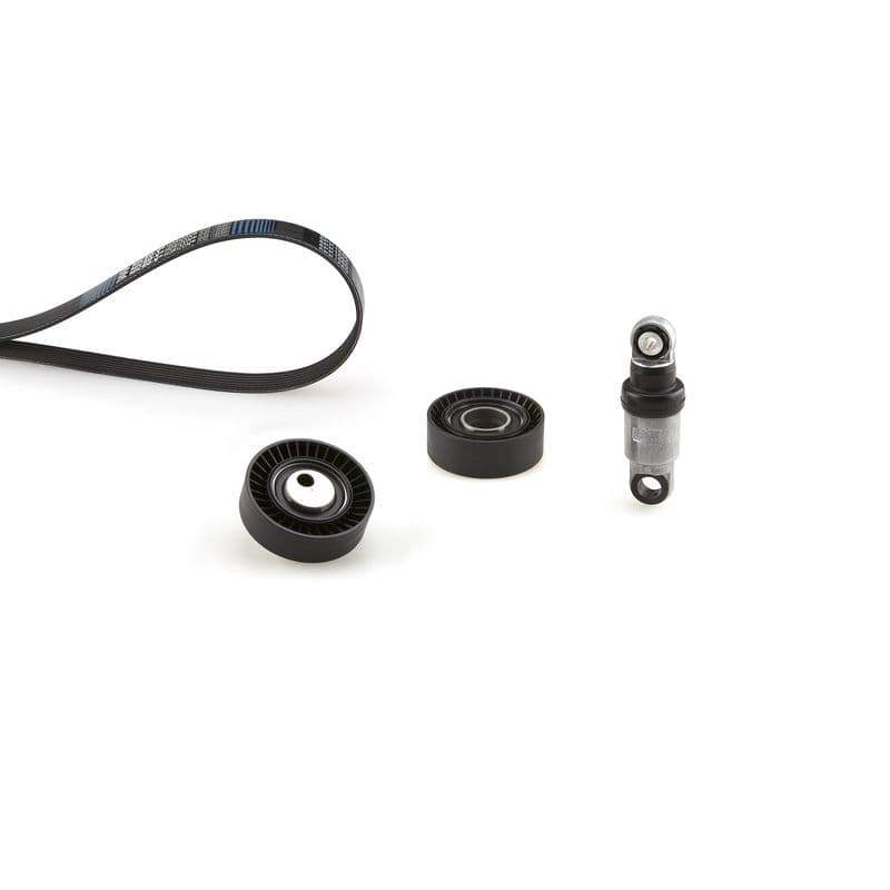 Multi-V-riem (6PK1555)