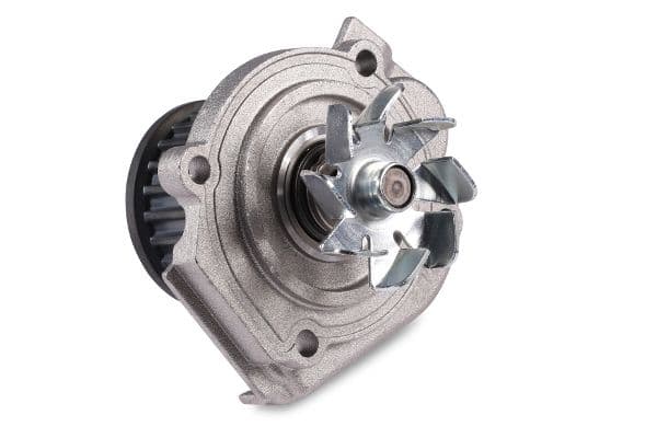 Waterpomp, zonder pakking past: FIAT BRAVA, BRAVO I, BRAVO II, DOBLO, DOBLO CARGO, MAREA, PUNTO, SEICENTO / 600  LANCIA Y 1.1/1.2/1.4 04.97-12.23