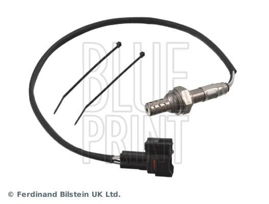 Oxygen Sensor