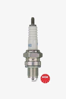 Spark plug