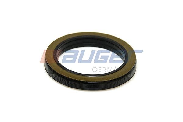 Shaft Seal, wheel hub