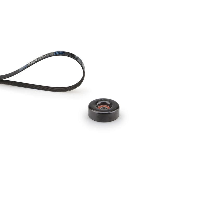 Multi-V-riem (6PK1660)