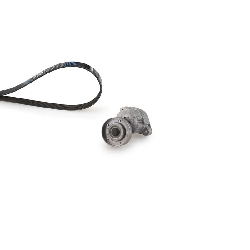 Multi-V-riem (6PK1463)