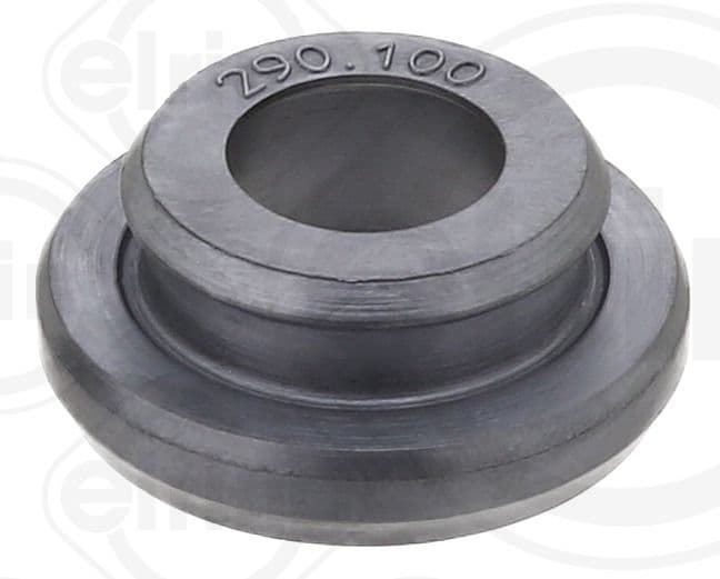 Seal Ring, cylinder head cover bolt