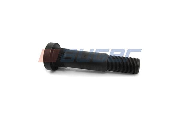 Wheel bolt