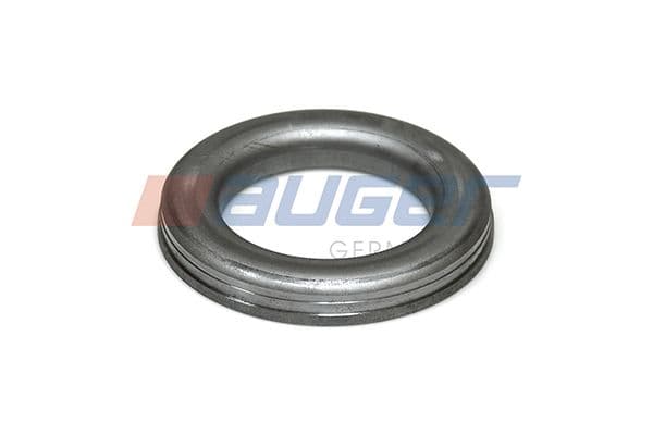Cap, wheel bearing