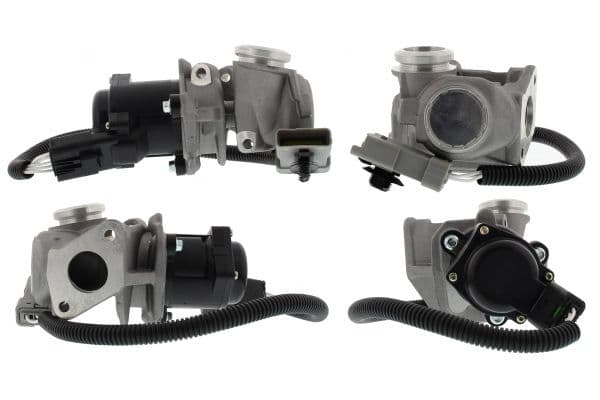 Koelsysteem rubberen slang (met montagebeugels, 21/29mm/29mm, lengte: 1200mm) past: MAN TGX I D2066LF25-D2868LF06 06.06-09.21