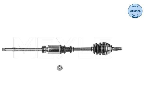 Drive Shaft