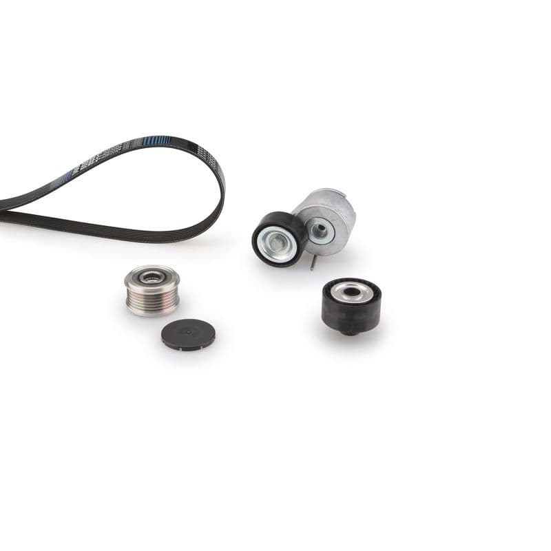 Multi-V-riem (6PK1353)