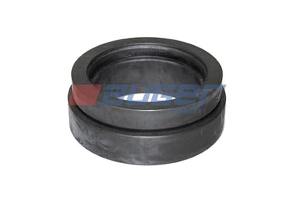 Mount, leaf spring hanger