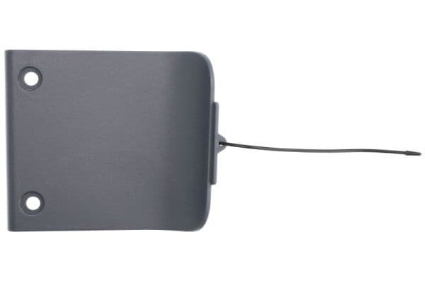 Cabine opstapje Links past: DAF XF 106 10.12-