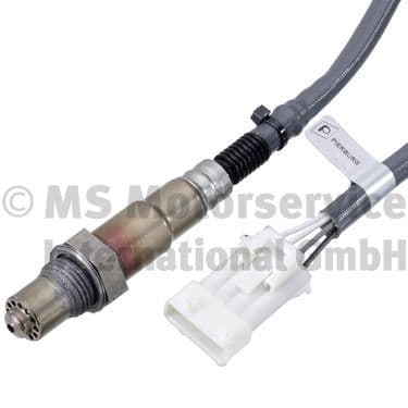 Oxygen Sensor