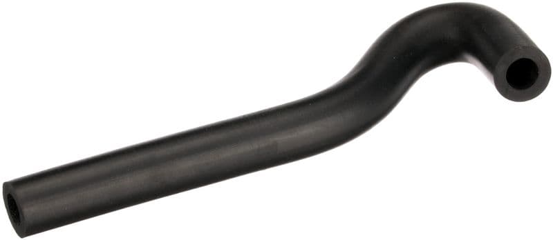 Hose, cylinder head cover ventilation