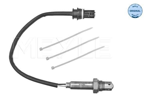 Oxygen Sensor