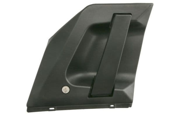 Door handle Links extern past: RVI T 01.13-