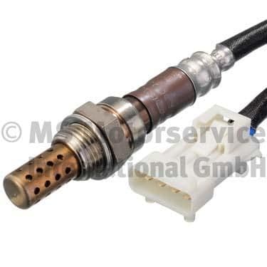 Oxygen Sensor
