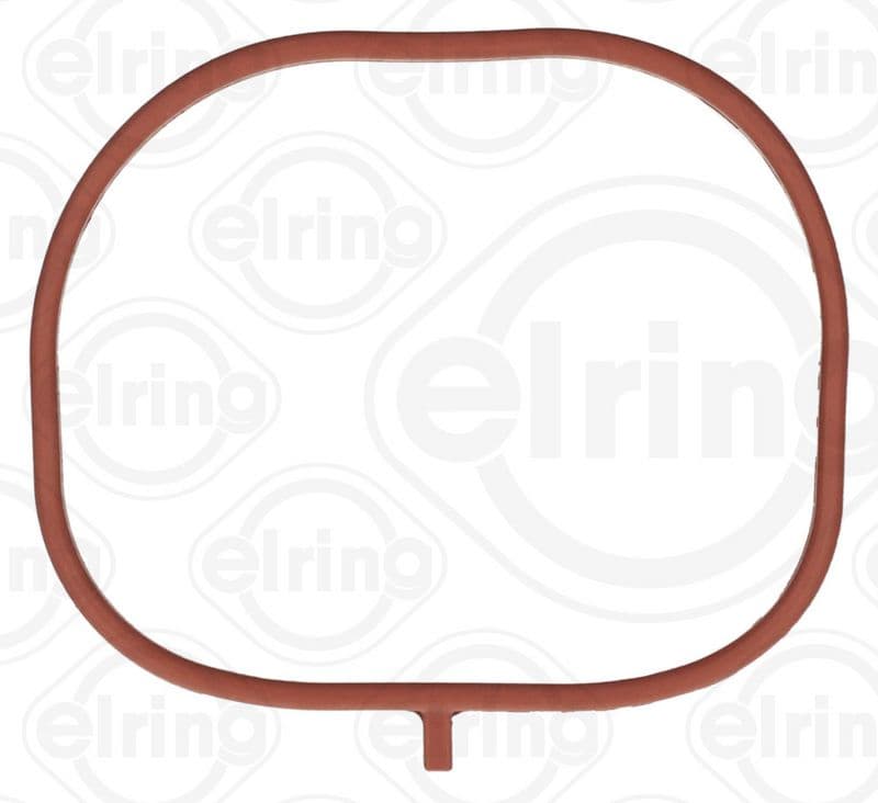 Gasket, intake manifold
