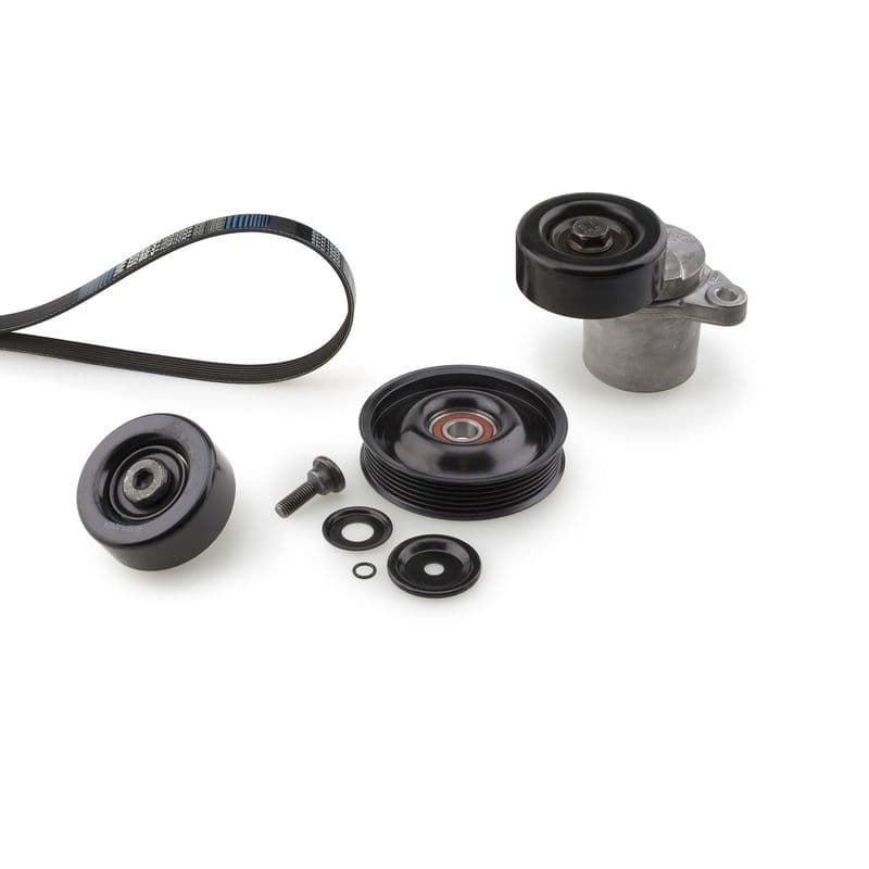 Multi-V-riem (6PK1438)