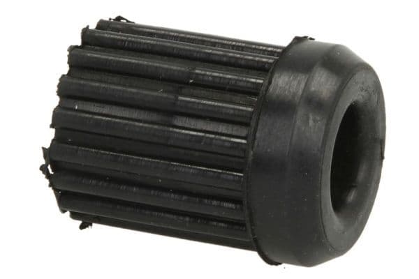 Bushing, leaf spring