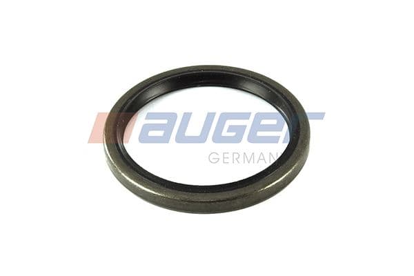 Shaft Seal, differential