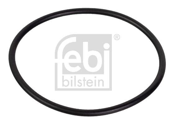 Seal Ring, steering knuckle