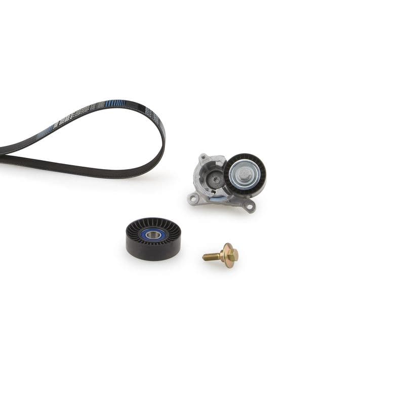 Multi-V-riem (6PK1203)