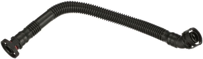 Hose, cylinder head cover ventilation