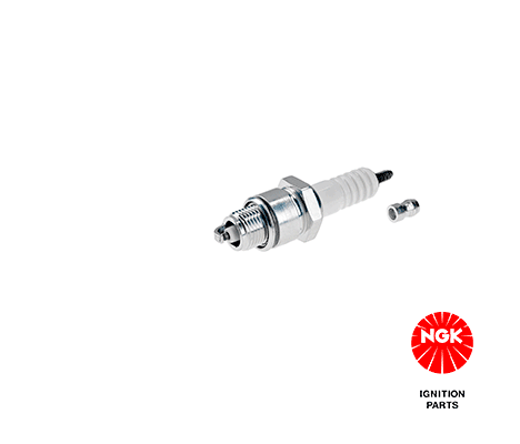Spark plug