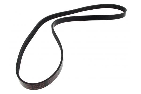 Gasket, oil filter housing