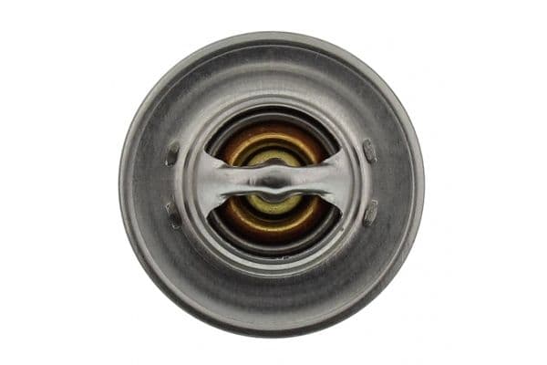 Hose Connector, radiator hose