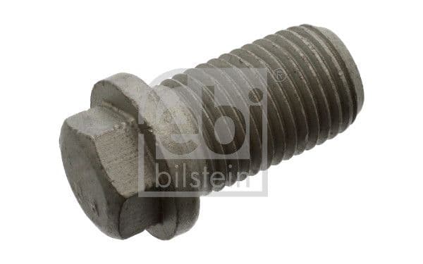 Screw Plug, oil sump