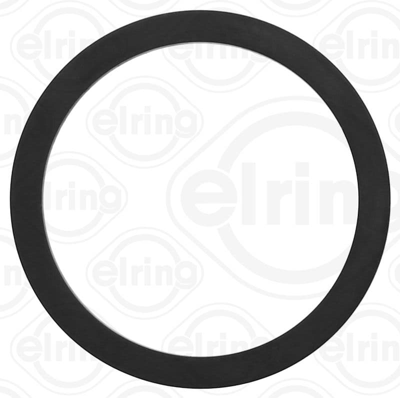 Gasket, coolant flange