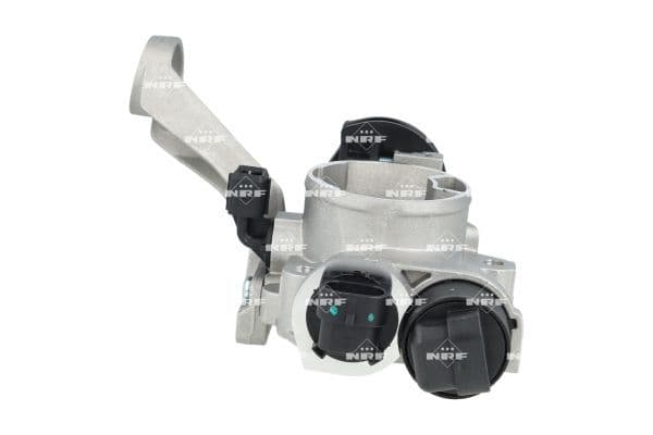 Strangler past: RENAULT CLIO II, CLIO III, KANGOO, KANGOO EXPRESS, TWINGO I 1.2/1.2LPG 05.96-