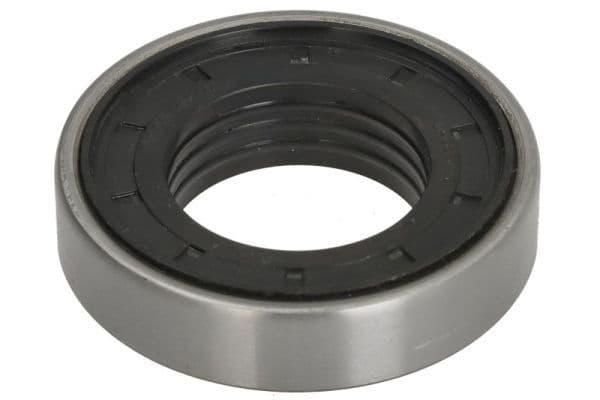 Repair Kit, differential