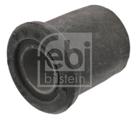 Bushing, leaf spring