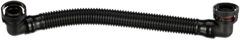 Hose, crankcase ventilation