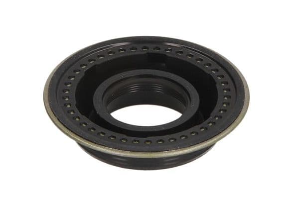 CR injector positionering ring DELPHI past: FORD