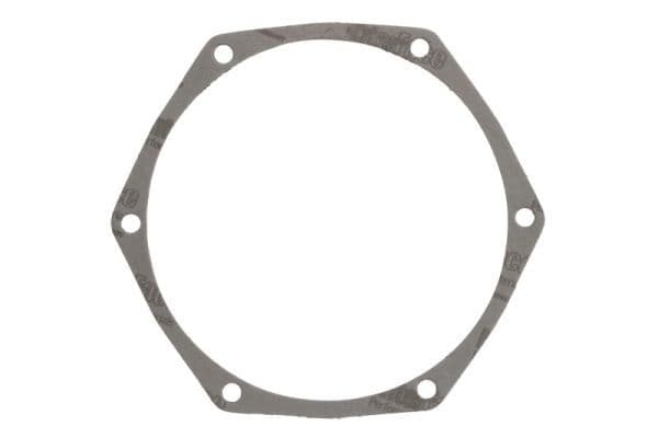 Gasket, timing case cover