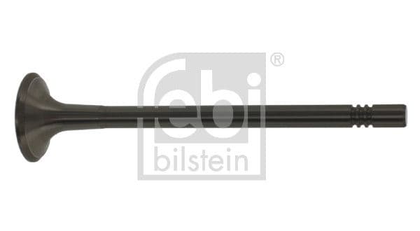 Brake servo-motor Achter (12, beroerte: 53mm, M48x2mm, trommel wig) past: IVECO